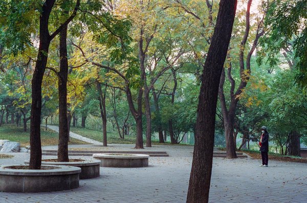 Le chanvre peut-il causer un test urinaire positif?